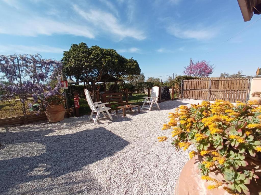 Apartment Belloretta